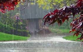 বাড়তে পারে দেশের বৃষ্টিপাত